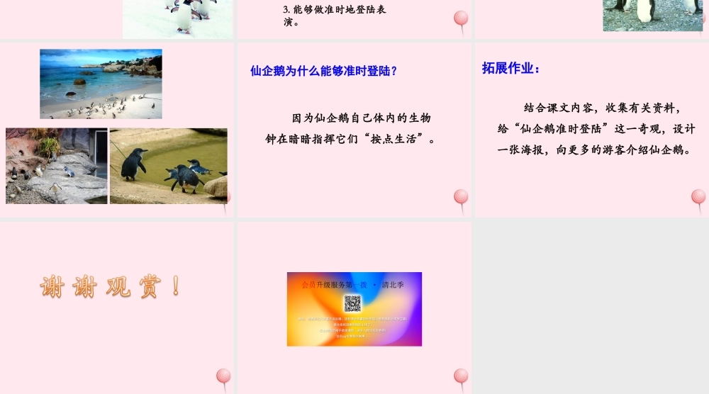 四年级语文上册 第五单元 25《准时的登陆表演》优培课件 冀教版-冀教版小学四年级上册语文课件