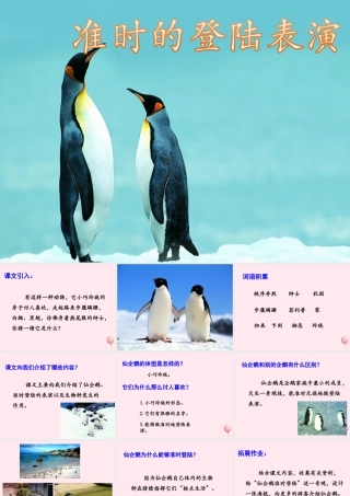 四年级语文上册 第五单元 25《准时的登陆表演》优培课件 冀教版-冀教版小学四年级上册语文课件