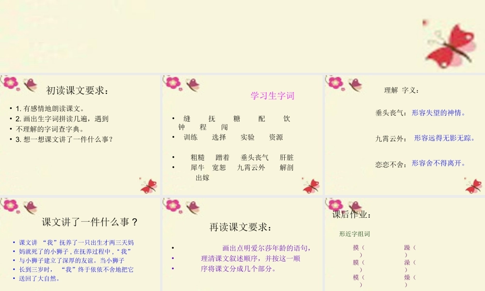四年级语文下册 第7单元 28《小狮子爱尔莎》课件5 语文S版-语文S版小学四年级下册语文课件