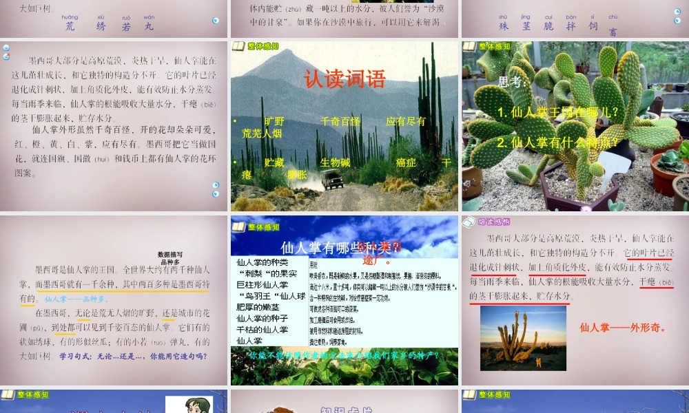 四年级语文上册《仙人掌王国》课件6 语文A版-语文A版小学四年级上册语文课件
