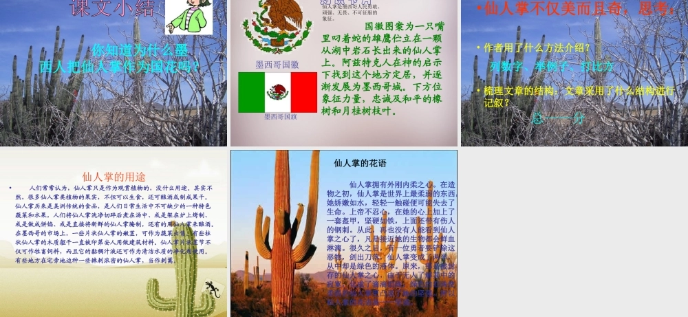 四年级语文上册《仙人掌王国》课件6 语文A版-语文A版小学四年级上册语文课件