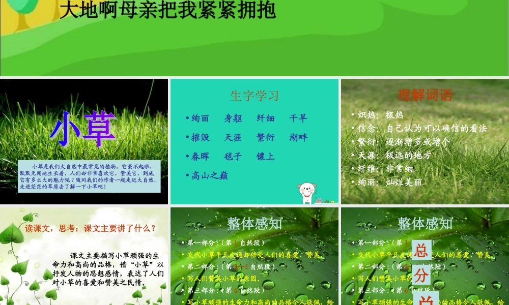 四年级语文上册《小草》课件 教科版-教科版小学四年级上册语文课件