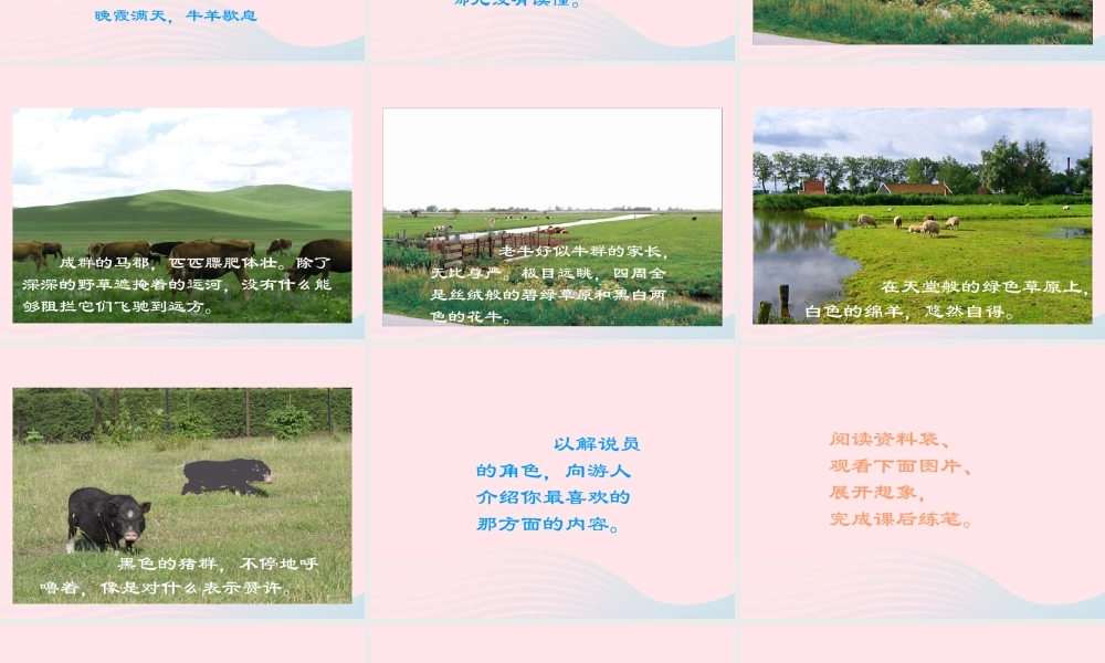 四年级语文下册 第六单元 22 牧场之国课件3 新人教版-新人教版小学四年级下册语文课件