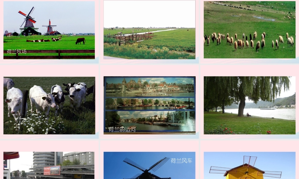 四年级语文下册 第六单元 22 牧场之国课件3 新人教版-新人教版小学四年级下册语文课件