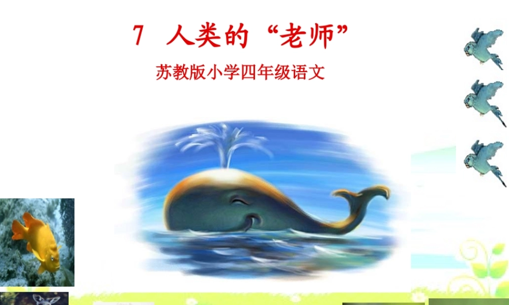 四年级语文上册 第三单元 人类的“老师”课件1 湘教版-湘教版小学四年级上册语文课件