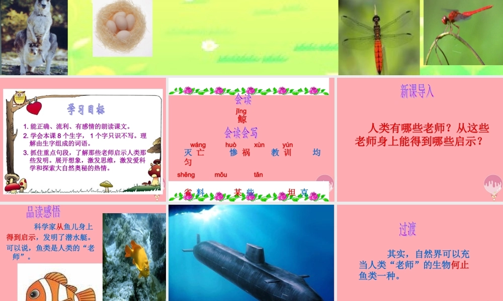 四年级语文上册 第三单元 人类的“老师”课件1 湘教版-湘教版小学四年级上册语文课件