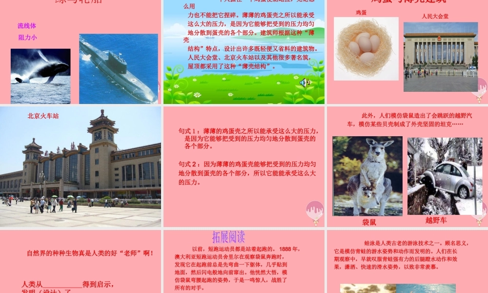 四年级语文上册 第三单元 人类的“老师”课件1 湘教版-湘教版小学四年级上册语文课件