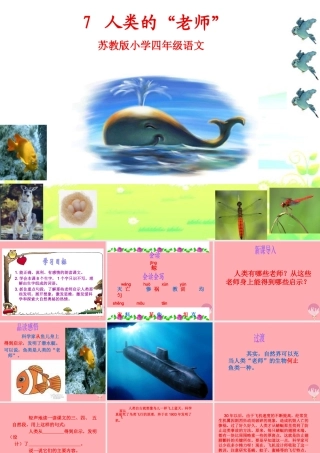 四年级语文上册 第三单元 人类的“老师”课件1 湘教版-湘教版小学四年级上册语文课件