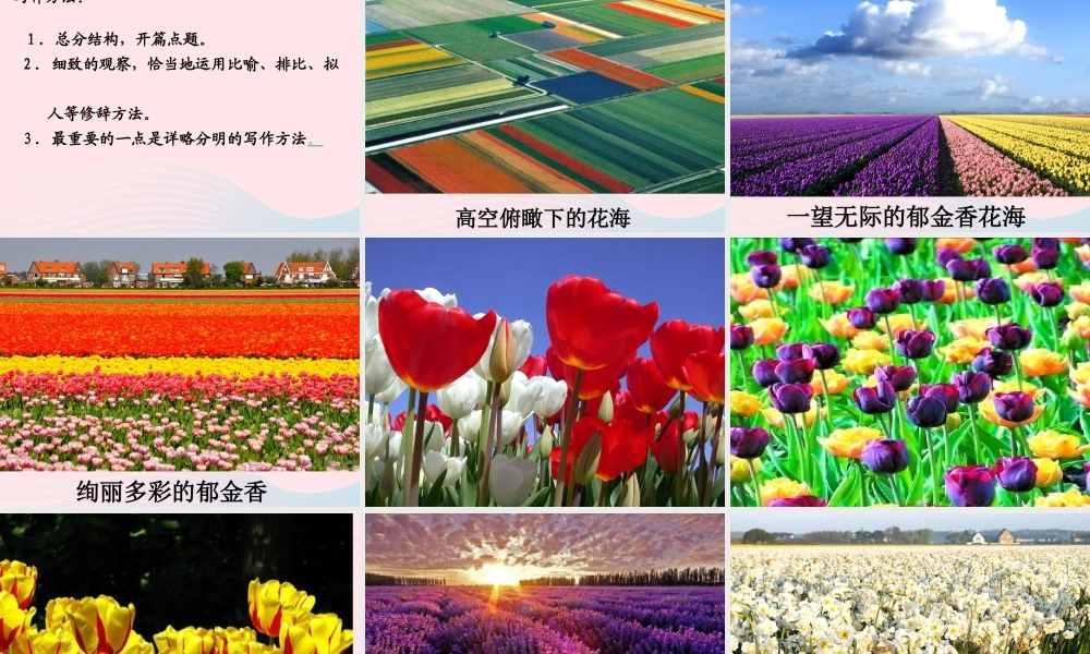 四年级语文下册 第六单元 22 牧场之国课件4 新人教版-新人教版小学四年级下册语文课件