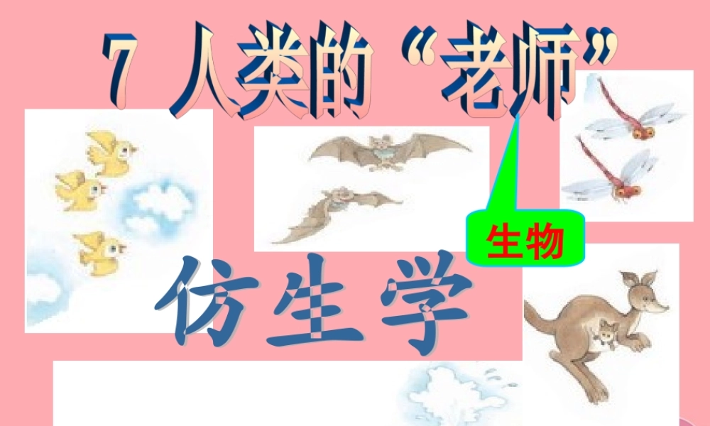 四年级语文上册 第三单元 人类的“老师”课件2 湘教版-湘教版小学四年级上册语文课件