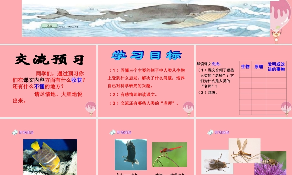 四年级语文上册 第三单元 人类的“老师”课件2 湘教版-湘教版小学四年级上册语文课件