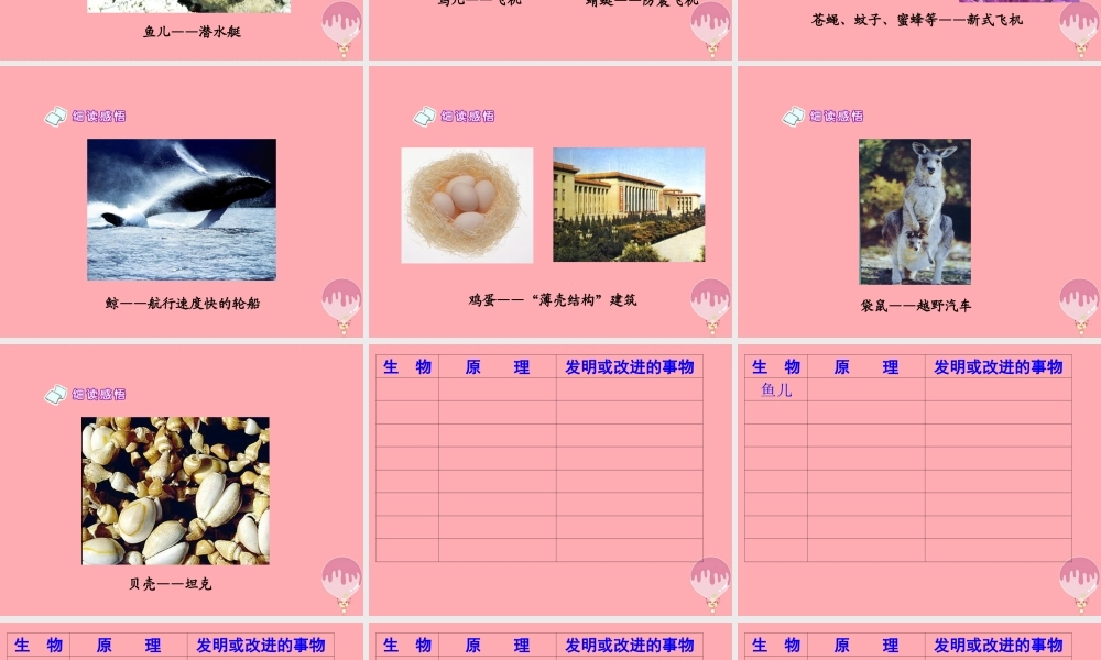 四年级语文上册 第三单元 人类的“老师”课件2 湘教版-湘教版小学四年级上册语文课件