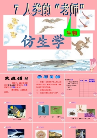 四年级语文上册 第三单元 人类的“老师”课件2 湘教版-湘教版小学四年级上册语文课件