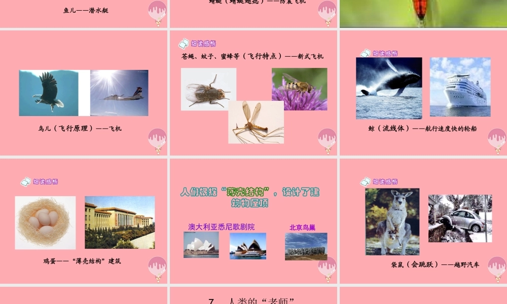 四年级语文上册 第三单元 人类的“老师”课件3 湘教版-湘教版小学四年级上册语文课件