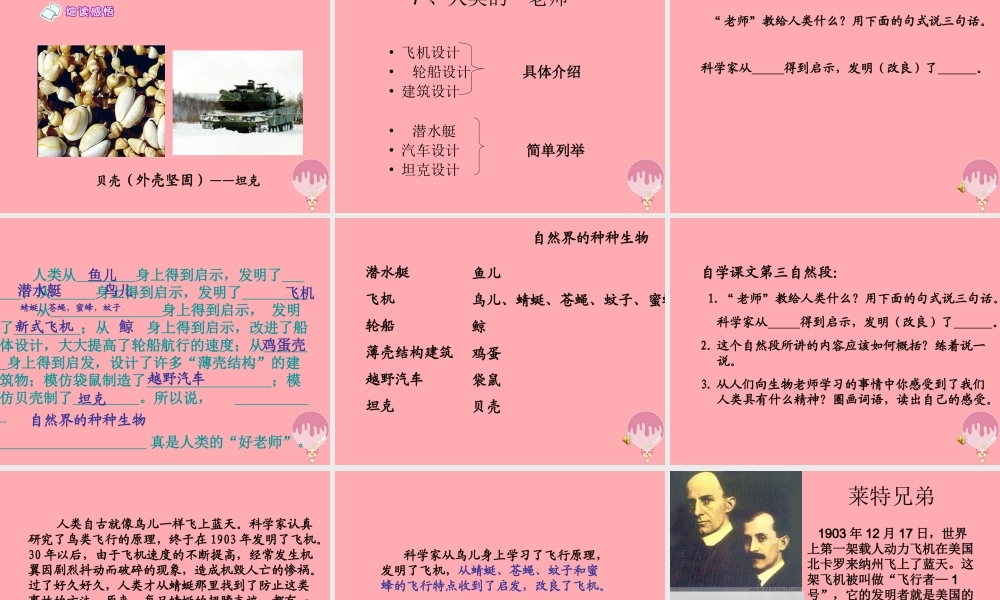 四年级语文上册 第三单元 人类的“老师”课件3 湘教版-湘教版小学四年级上册语文课件