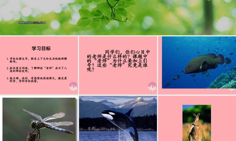 四年级语文上册 第三单元 人类的“老师”课件4 湘教版-湘教版小学四年级上册语文课件