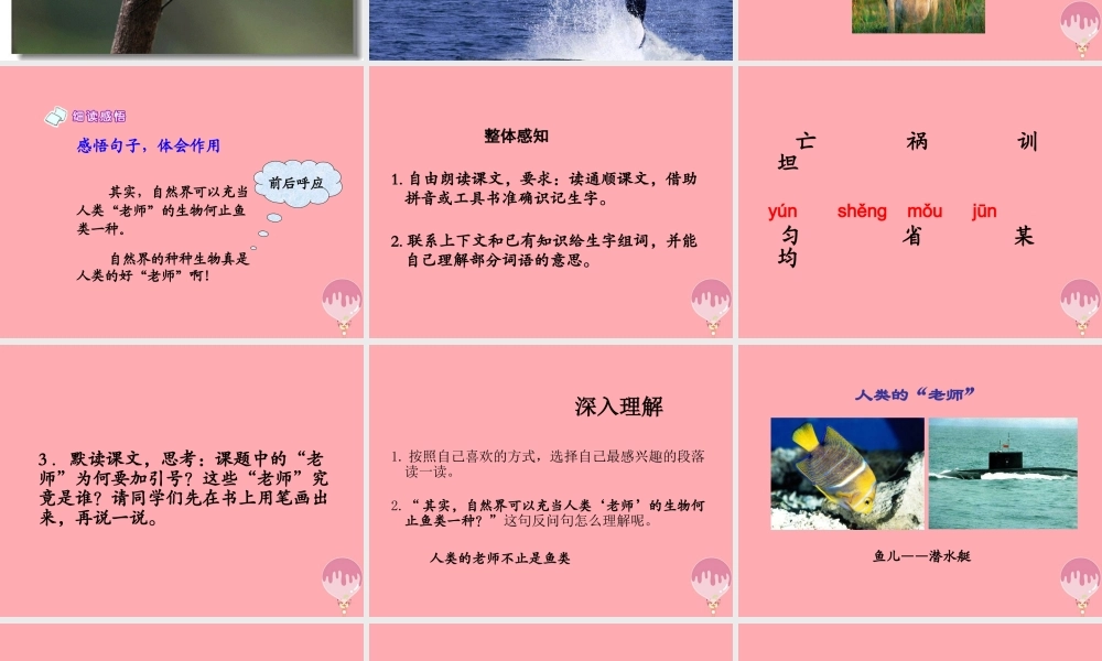 四年级语文上册 第三单元 人类的“老师”课件4 湘教版-湘教版小学四年级上册语文课件