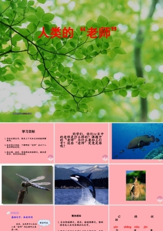 四年级语文上册 第三单元 人类的“老师”课件4 湘教版-湘教版小学四年级上册语文课件