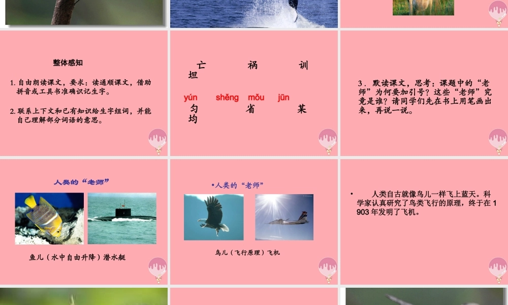 四年级语文上册 第三单元 人类的“老师”课件5 湘教版-湘教版小学四年级上册语文课件