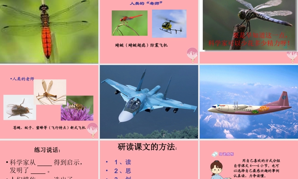 四年级语文上册 第三单元 人类的“老师”课件5 湘教版-湘教版小学四年级上册语文课件