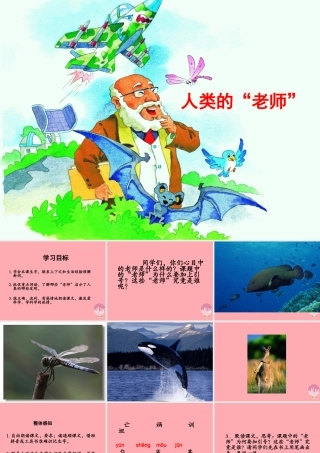 四年级语文上册 第三单元 人类的“老师”课件5 湘教版-湘教版小学四年级上册语文课件