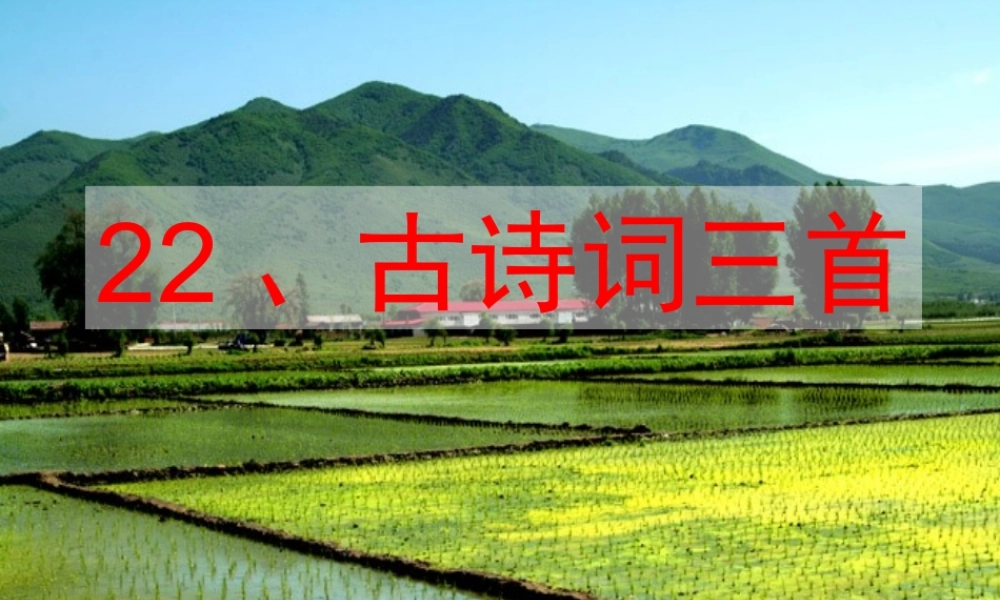 四年级语文下册 第六单元 22《古诗词三首》课堂教学课件1 新人教版-新人教版小学四年级下册语文课件