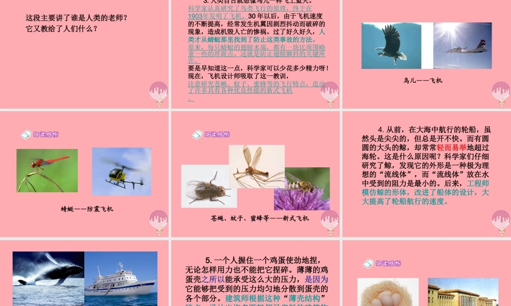 四年级语文上册 第三单元 人类的“老师”课件6 湘教版-湘教版小学四年级上册语文课件