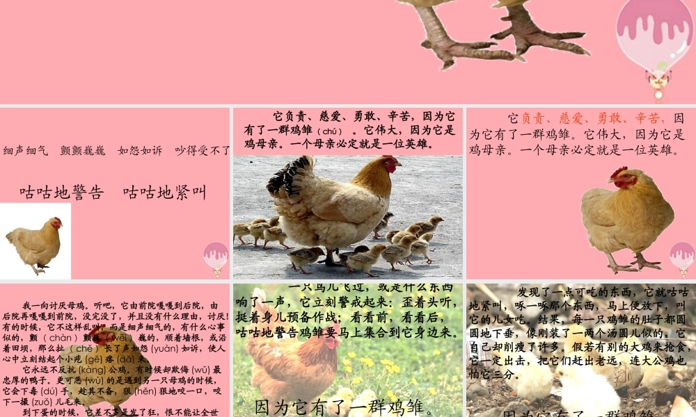 四年级语文上册 第五单元 母鸡课件1 湘教版-湘教版小学四年级上册语文课件