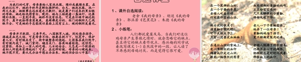 四年级语文上册 第五单元 母鸡课件1 湘教版-湘教版小学四年级上册语文课件