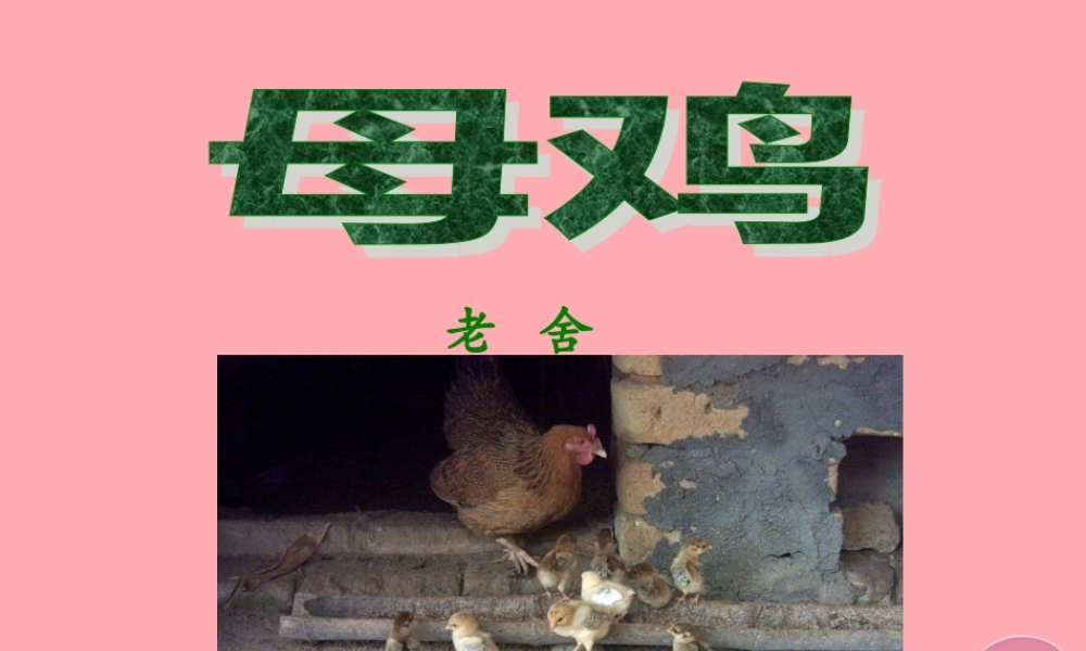 四年级语文上册 第五单元 母鸡课件2 湘教版-湘教版小学四年级上册语文课件