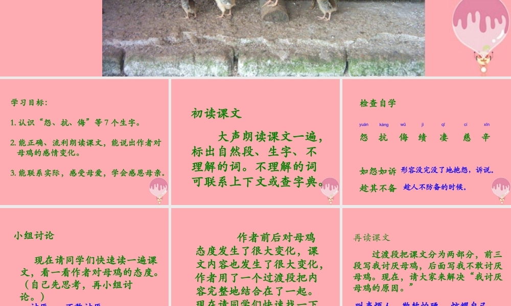 四年级语文上册 第五单元 母鸡课件2 湘教版-湘教版小学四年级上册语文课件