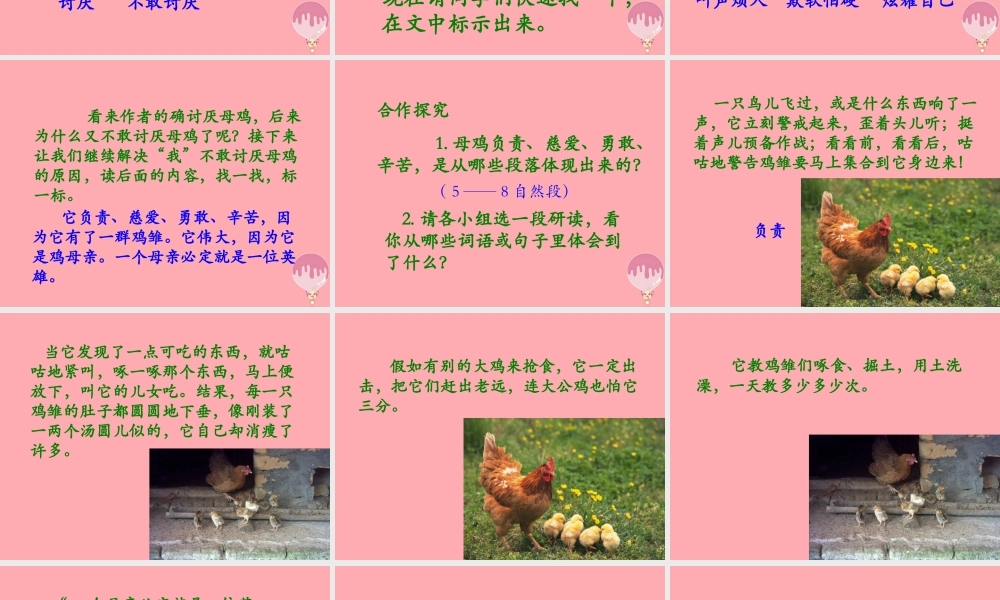 四年级语文上册 第五单元 母鸡课件2 湘教版-湘教版小学四年级上册语文课件