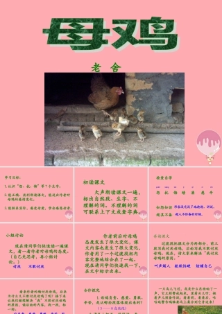 四年级语文上册 第五单元 母鸡课件2 湘教版-湘教版小学四年级上册语文课件