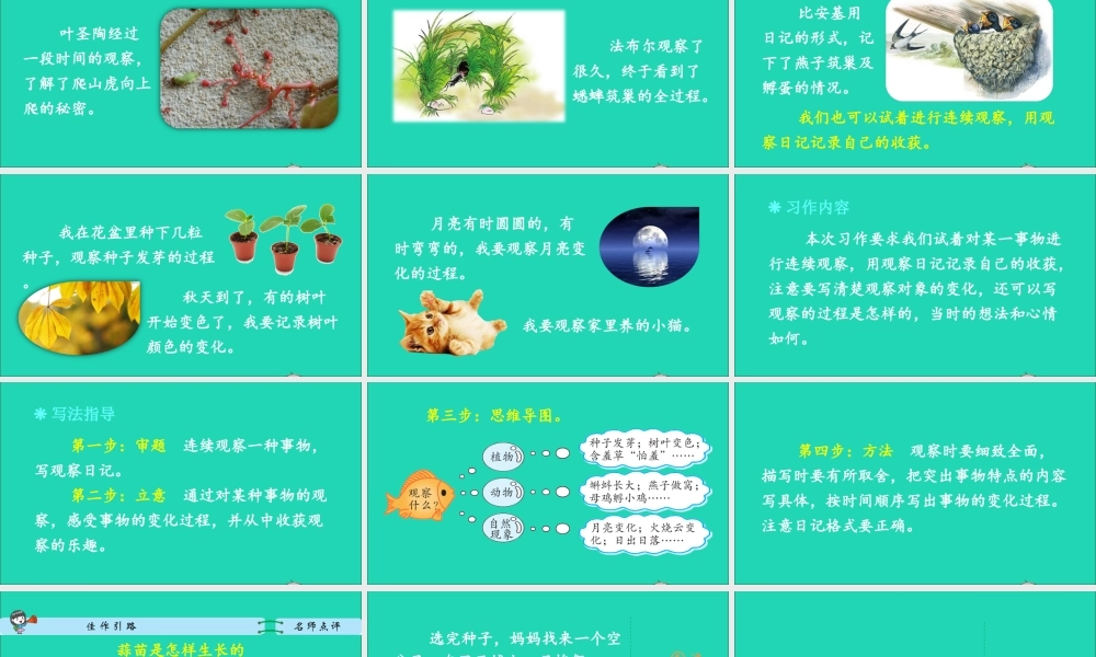 四年级语文上册 第三单元 习作：写观察日记课件1 新人教版-新人教版小学四年级上册语文课件