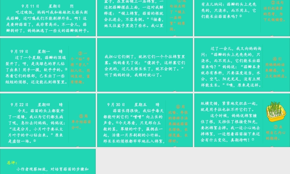 四年级语文上册 第三单元 习作：写观察日记课件1 新人教版-新人教版小学四年级上册语文课件