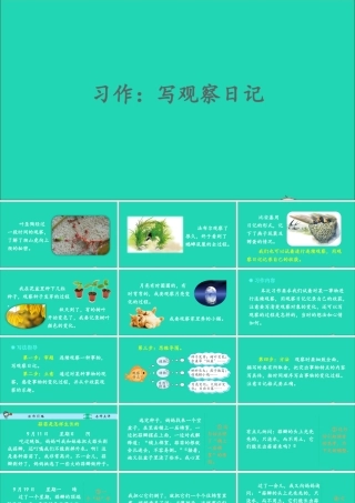 四年级语文上册 第三单元 习作：写观察日记课件1 新人教版-新人教版小学四年级上册语文课件
