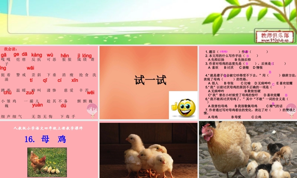 四年级语文上册 第五单元 母鸡课件3 湘教版-湘教版小学四年级上册语文课件