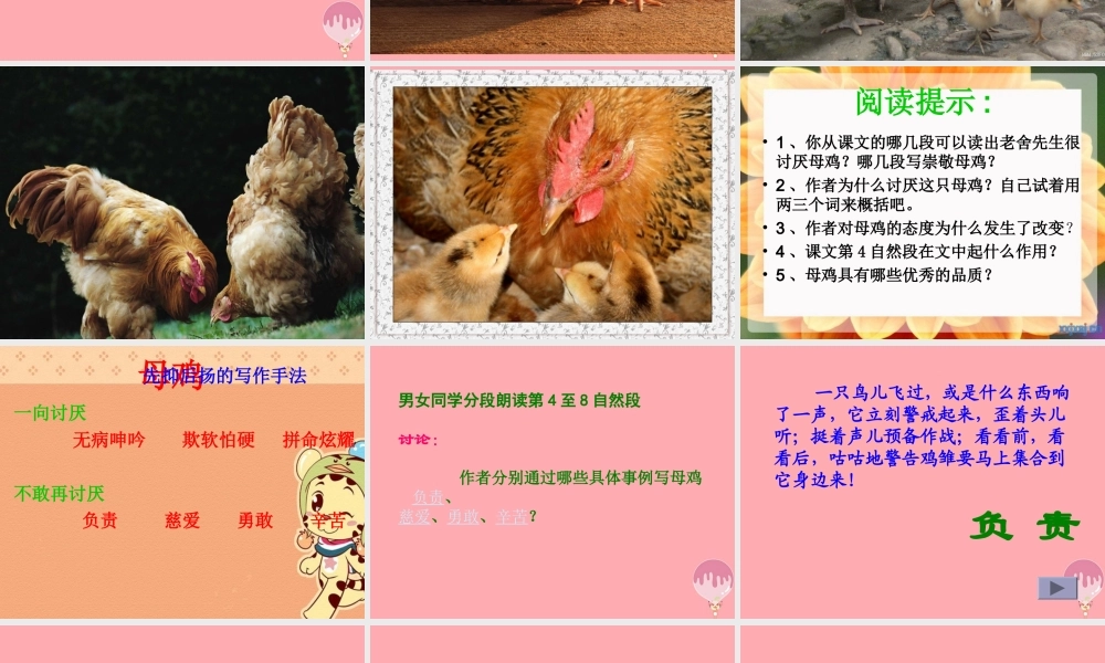 四年级语文上册 第五单元 母鸡课件3 湘教版-湘教版小学四年级上册语文课件