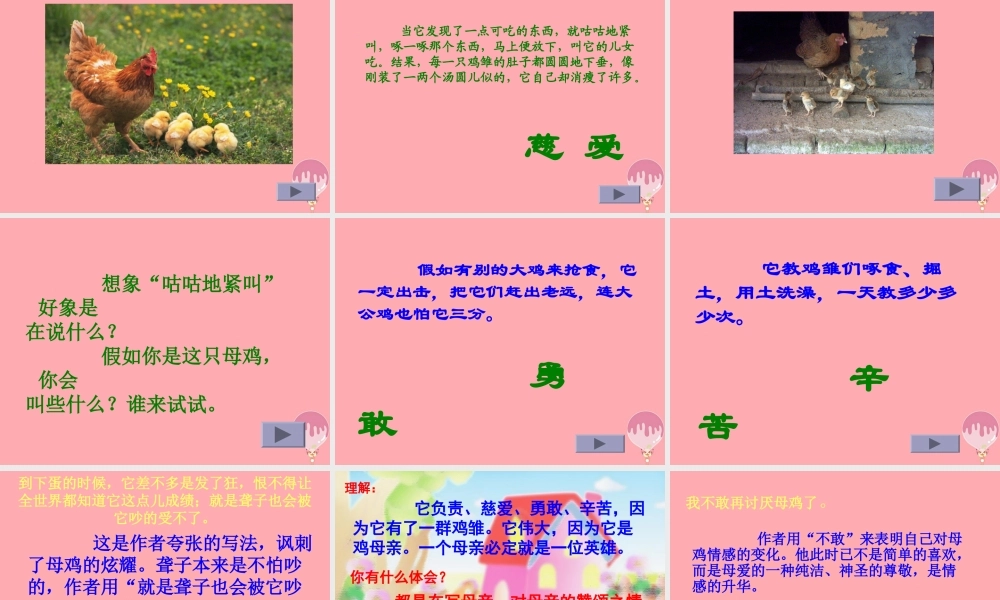 四年级语文上册 第五单元 母鸡课件3 湘教版-湘教版小学四年级上册语文课件