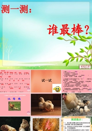 四年级语文上册 第五单元 母鸡课件3 湘教版-湘教版小学四年级上册语文课件