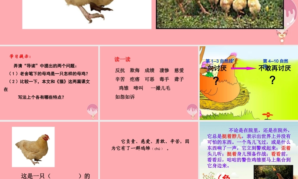 四年级语文上册 第五单元 母鸡课件4 湘教版-湘教版小学四年级上册语文课件