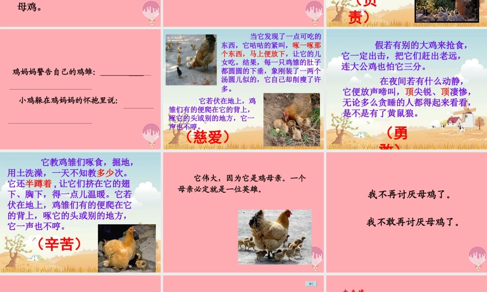 四年级语文上册 第五单元 母鸡课件4 湘教版-湘教版小学四年级上册语文课件