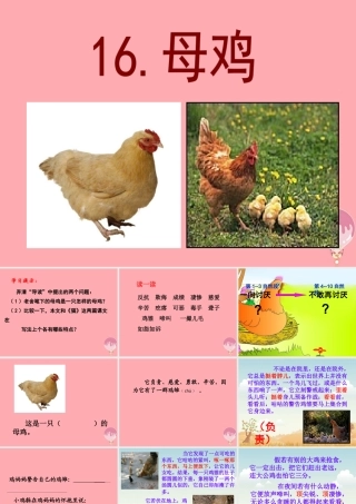 四年级语文上册 第五单元 母鸡课件4 湘教版-湘教版小学四年级上册语文课件