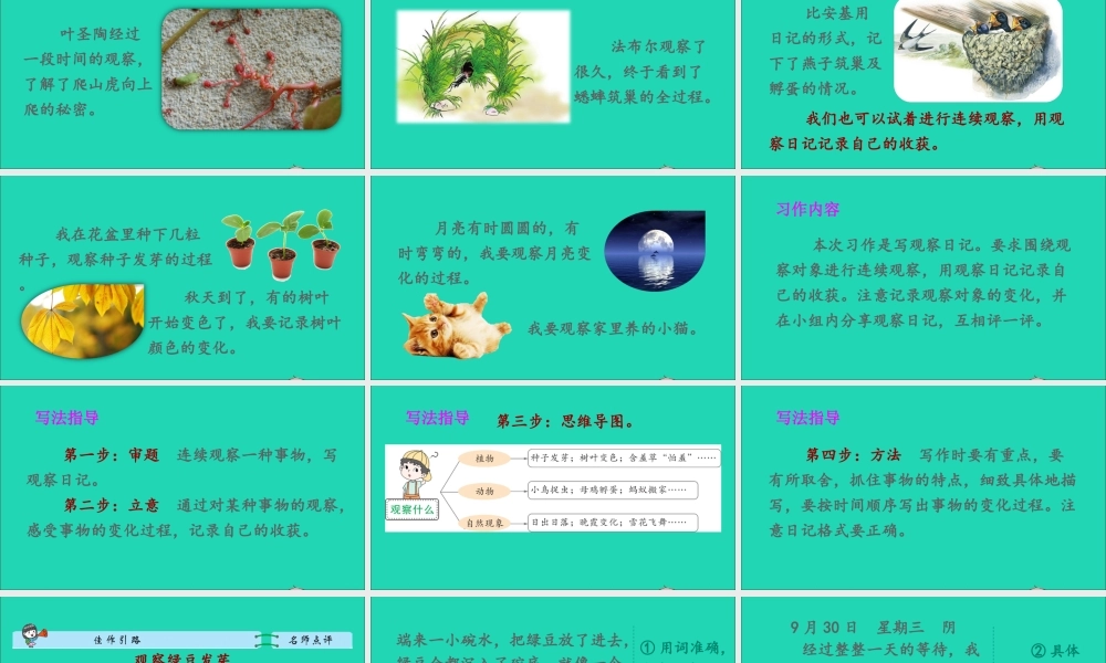 四年级语文上册 第三单元 习作：写观察日记课件2 新人教版-新人教版小学四年级上册语文课件