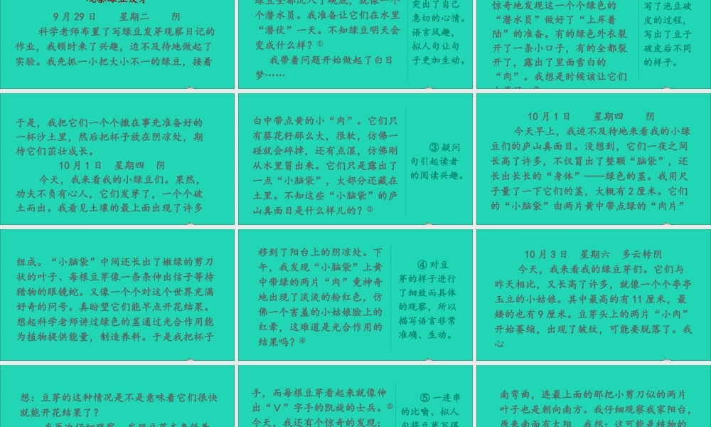 四年级语文上册 第三单元 习作：写观察日记课件2 新人教版-新人教版小学四年级上册语文课件