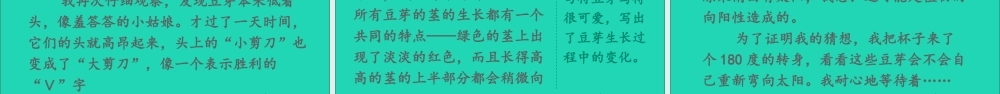 四年级语文上册 第三单元 习作：写观察日记课件2 新人教版-新人教版小学四年级上册语文课件