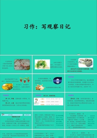 四年级语文上册 第三单元 习作：写观察日记课件2 新人教版-新人教版小学四年级上册语文课件