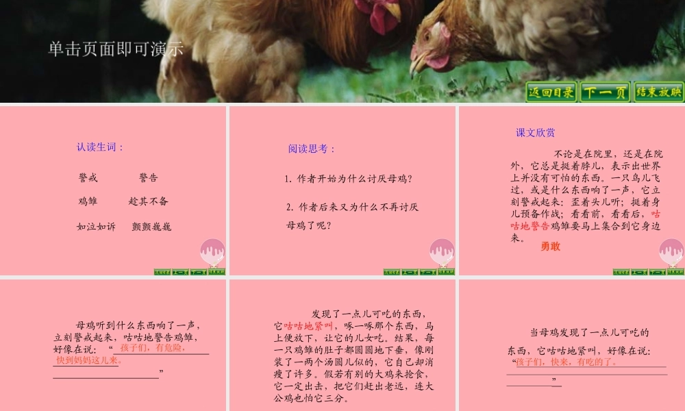四年级语文上册 第五单元 母鸡课件5 湘教版-湘教版小学四年级上册语文课件