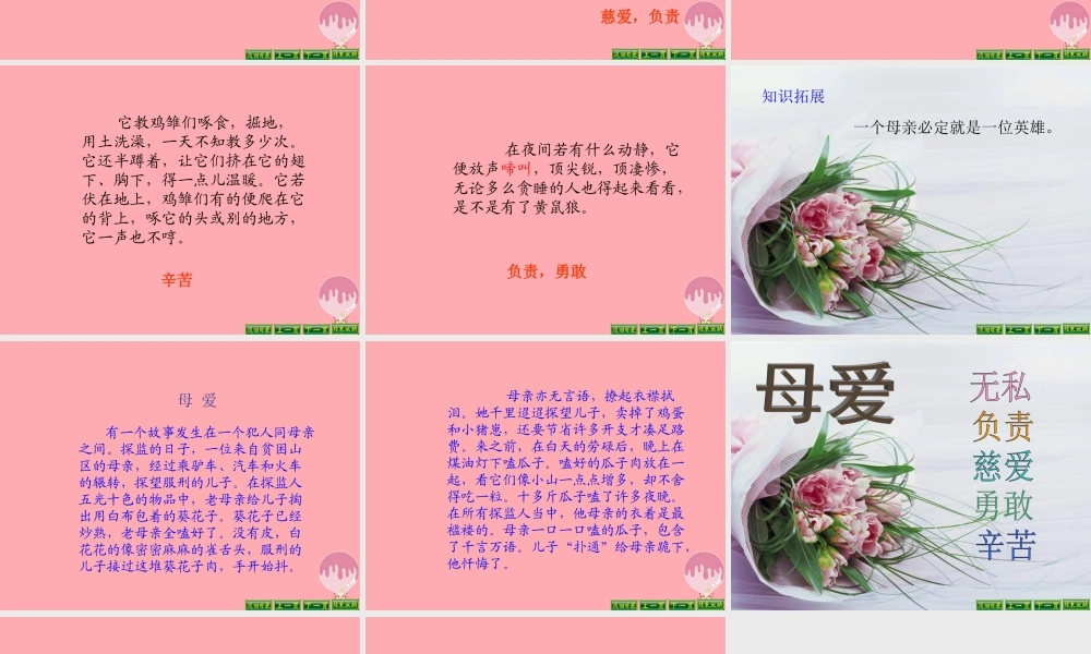 四年级语文上册 第五单元 母鸡课件5 湘教版-湘教版小学四年级上册语文课件