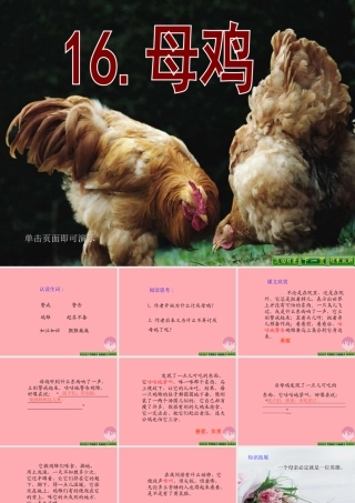 四年级语文上册 第五单元 母鸡课件5 湘教版-湘教版小学四年级上册语文课件